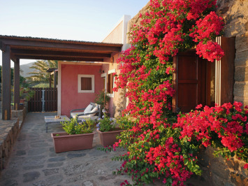 Rosa-20 Rosa-20
