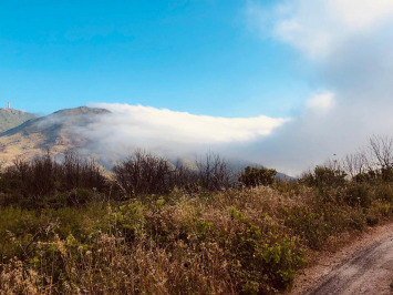 dammusi_view_2