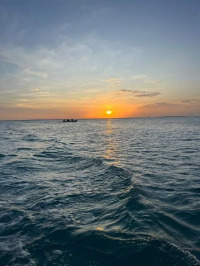 IMG_20230315_070044_0517