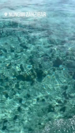 VID_222360423_044524_000