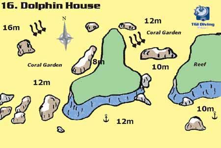 dolphin_house