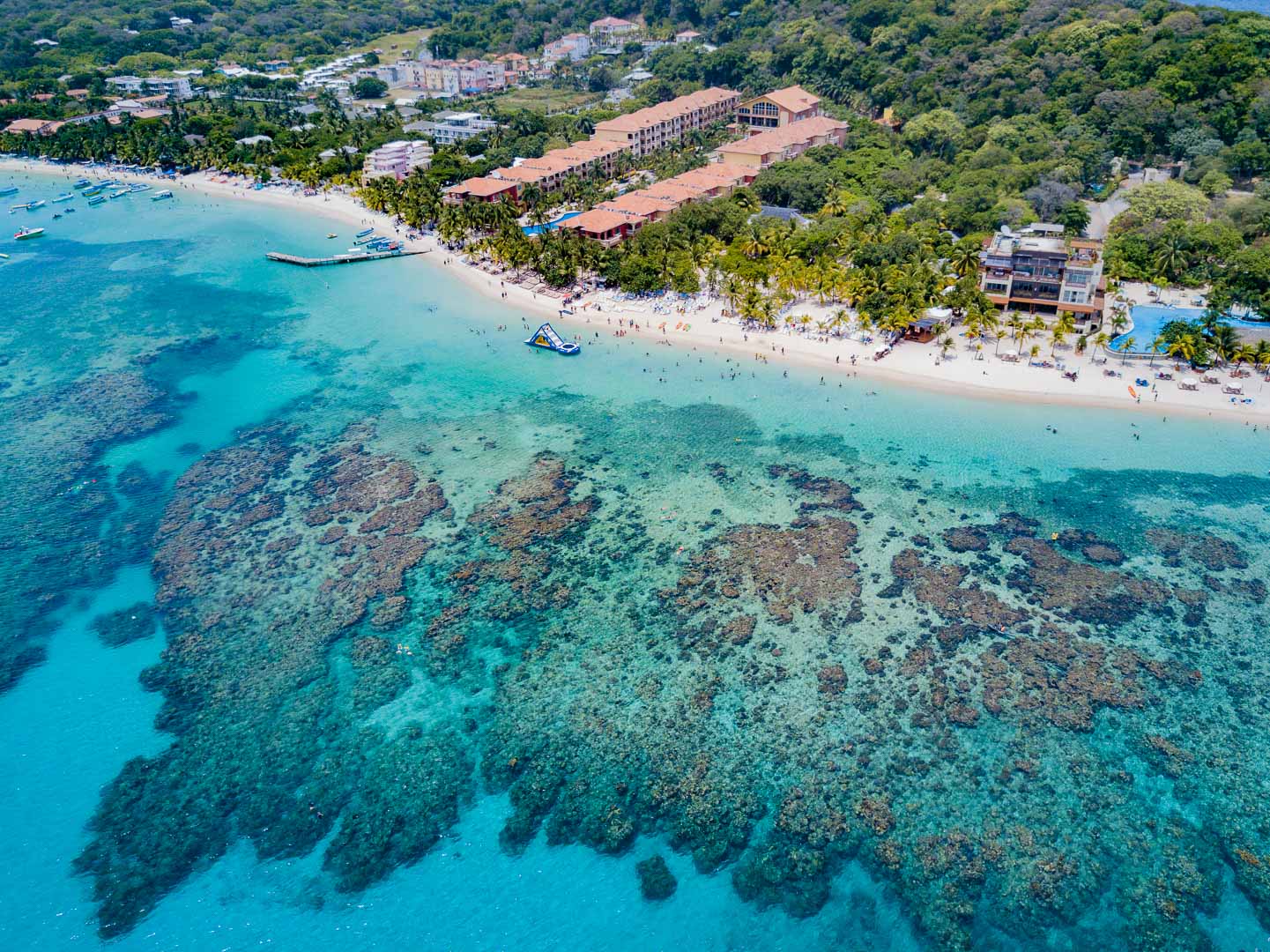 Henry Morgan Roatan TGI Diving International